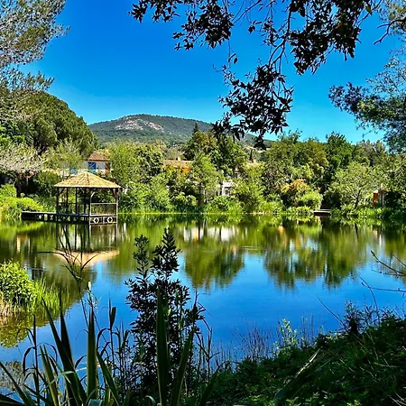 Appartamento Les Restanques 1030 Arum Rez De Jardin Grimaud